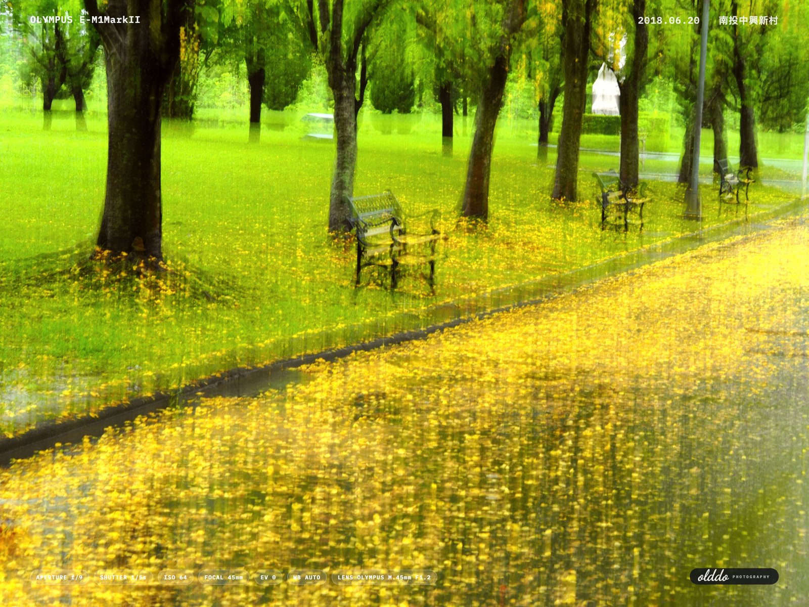 雨中中興新村